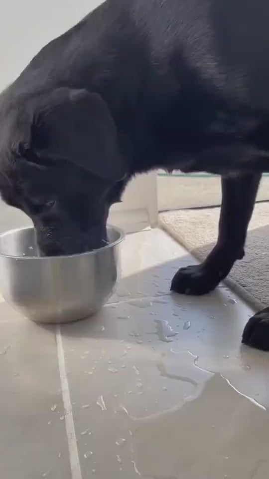 1.mp4